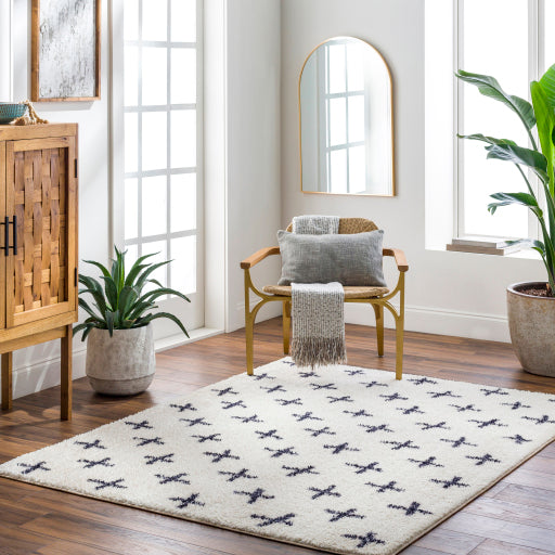 Surya Lykke LKK-2303 Ivory Global  Rug