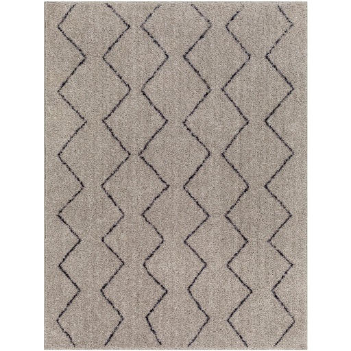 Surya Lykke LKK-2304 Light Gray Global  Rug