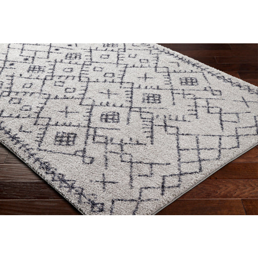 Surya Lykke LKK-2305 Light Gray Global  Rug