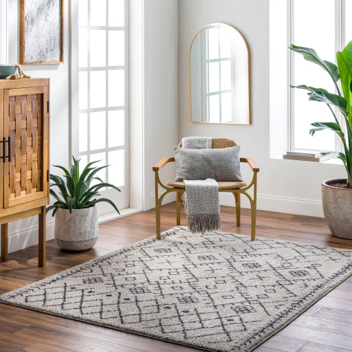 Surya Lykke LKK-2305 Light Gray Global  Rug