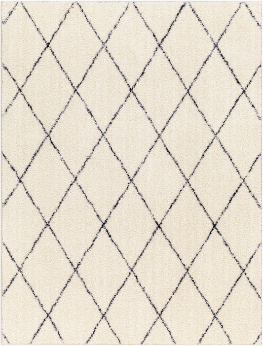 Surya Lykke LKK-2306 Ivory  Global  Rug