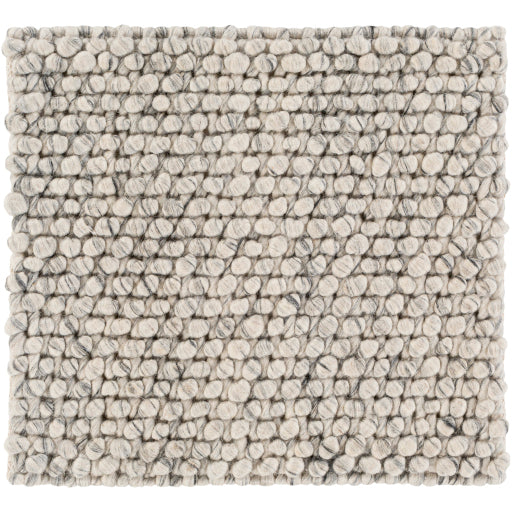 Surya Lucerne LNE-1001 Charcoal Modern  Rug