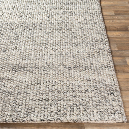 Surya Lucerne LNE-1001 Charcoal Modern  Rug