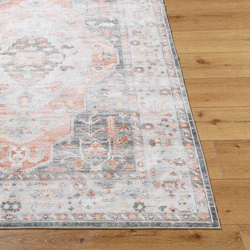 Surya Lavable LVB-2309  Traditional  Rug