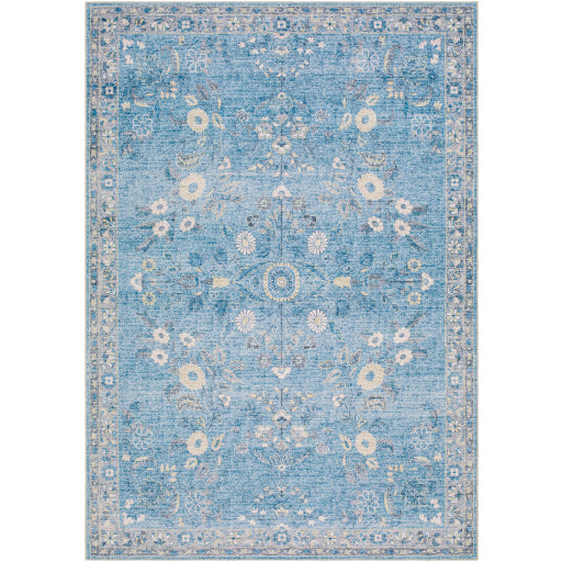 Surya Lavable LVB-2311  Traditional  Rug