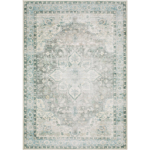 Surya Lavable LVB-2313  Traditional  Rug