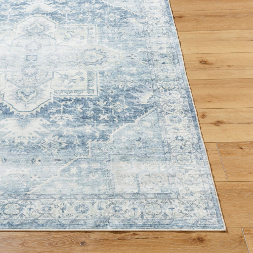 Surya Lavable LVB-2317  Traditional  Rug