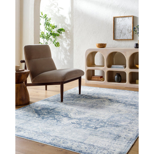 Surya Lavable LVB-2317  Traditional  Rug