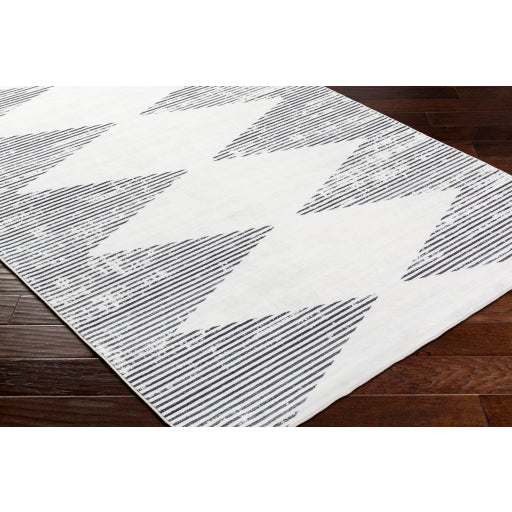 Surya Lavable LVB-2330  Global  Rug