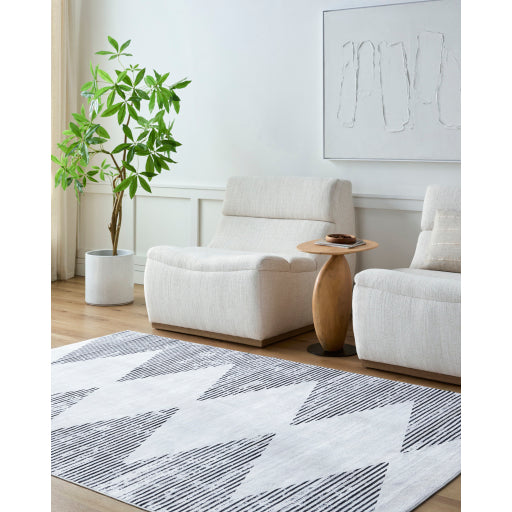 Surya Lavable LVB-2330  Global  Rug