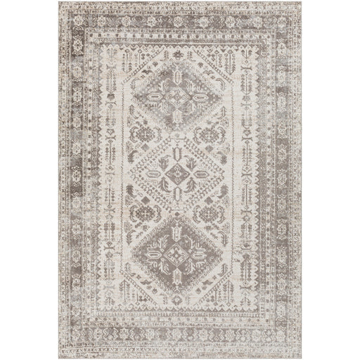 Surya Lavadora LVR-2301 Dark Brown Traditional  Rug