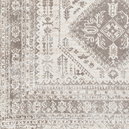 Surya Lavadora LVR-2301 Dark Brown Traditional  Rug