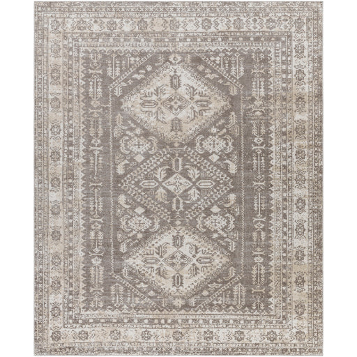 Surya Lavadora LVR-2302 Dark Brown Traditional  Rug