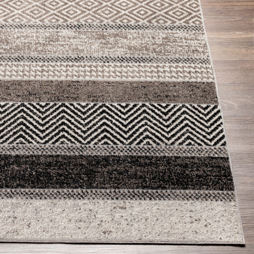 Surya Lavadora LVR-2304 Black Modern  Rug