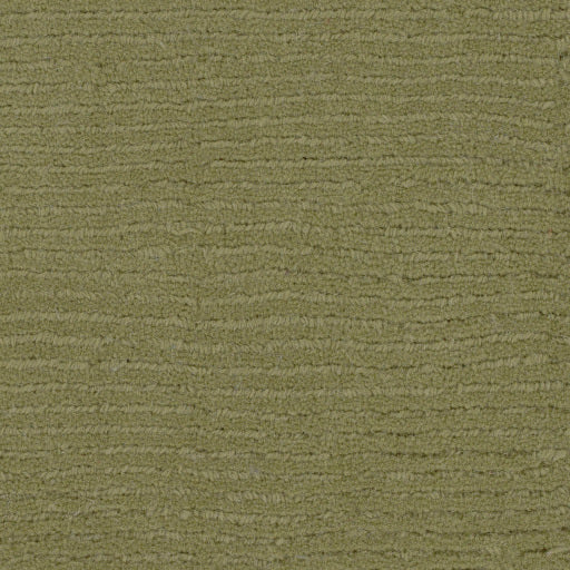 Surya Mystique M-329 Sage Modern  Rug