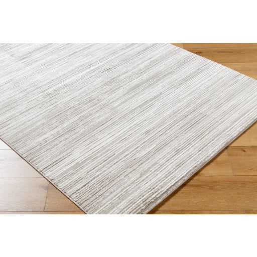 Surya Maguire MGU-2304 Light Brown Modern  Rug