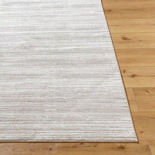 Surya Maguire MGU-2304 Light Brown Modern  Rug