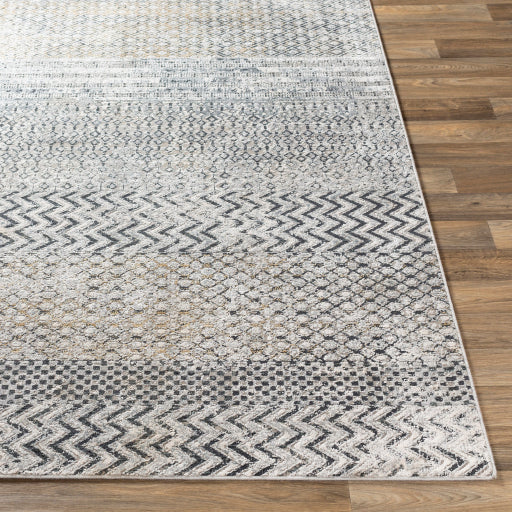 Surya Milano MLN-2308 Light Gray Global  Rug