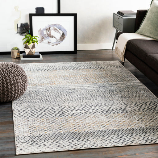 Surya Milano MLN-2308 Light Gray Global  Rug