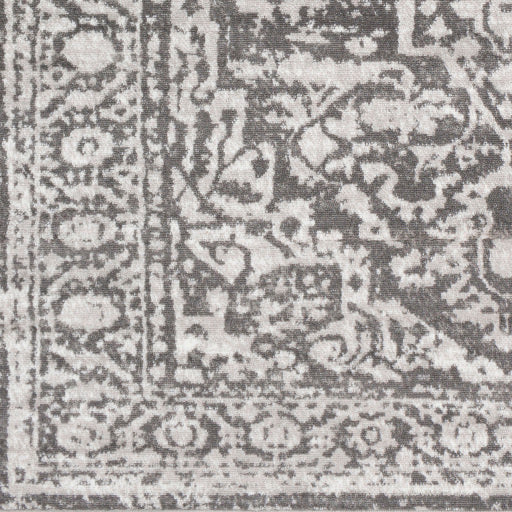 Surya Monte Carlo MNC-2300 Charcoal Traditional  Rug