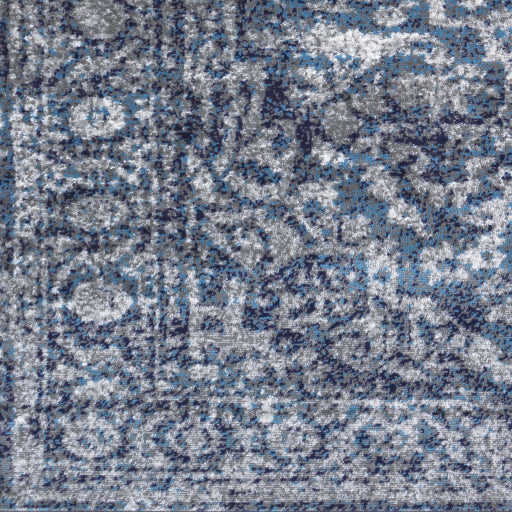 Surya Monte Carlo MNC-2301 Navy Traditional  Rug