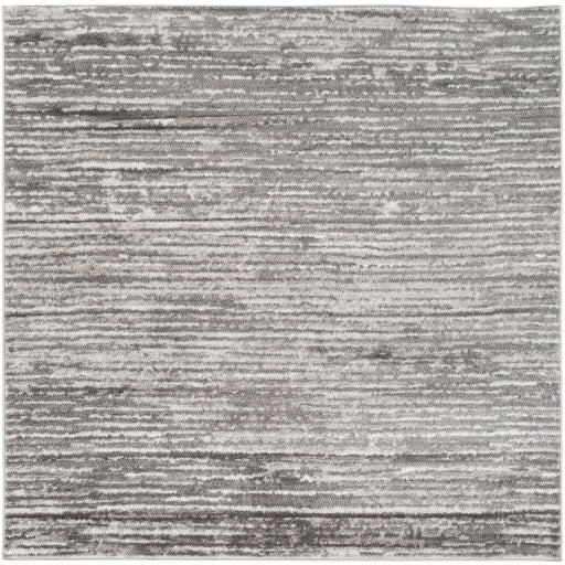 Surya Monte Carlo MNC-2308 Light Gray Modern  Rug