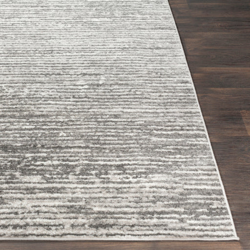 Surya Monte Carlo MNC-2308 Light Gray Modern  Rug