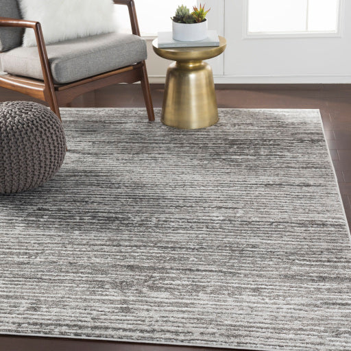 Surya Monte Carlo MNC-2308 Light Gray Modern  Rug