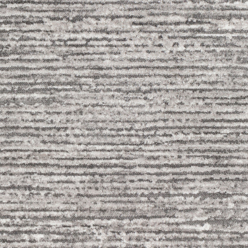 Surya Monte Carlo MNC-2308 Light Gray Modern  Rug