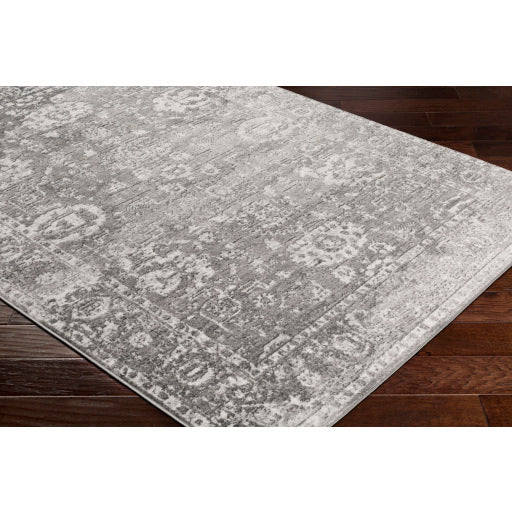 Surya Monte Carlo MNC-2311 Light Gray Traditional  Rug