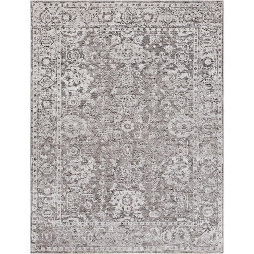 Surya Monte Carlo MNC-2311 Light Gray Traditional  Rug