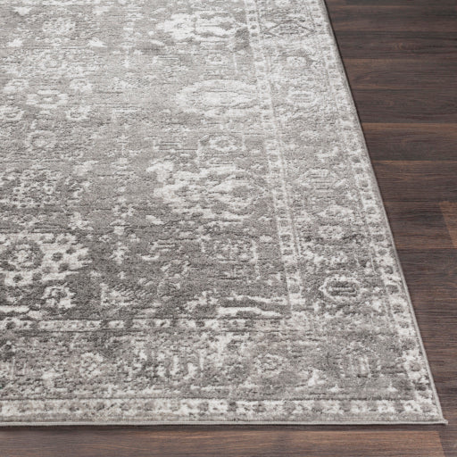 Surya Monte Carlo MNC-2311 Light Gray Traditional  Rug