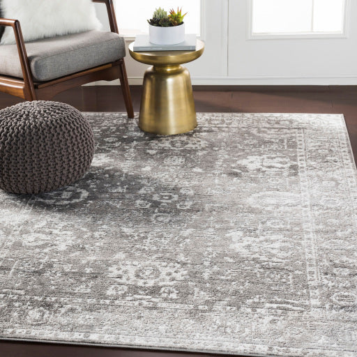 Surya Monte Carlo MNC-2311 Light Gray Traditional  Rug