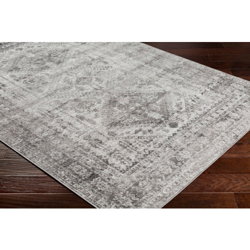 Surya Monte Carlo MNC-2314 Light Gray Traditional  Rug