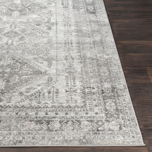 Surya Monte Carlo MNC-2314 Light Gray Traditional  Rug