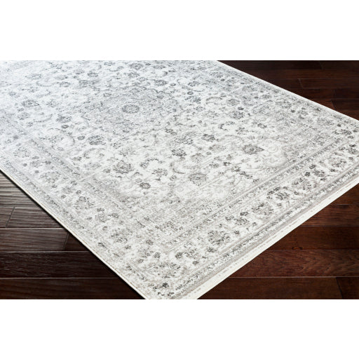 Surya Monte Carlo MNC-2319 Light Gray Traditional  Rug