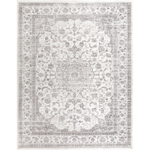 Surya Monte Carlo MNC-2319 Light Gray Traditional  Rug