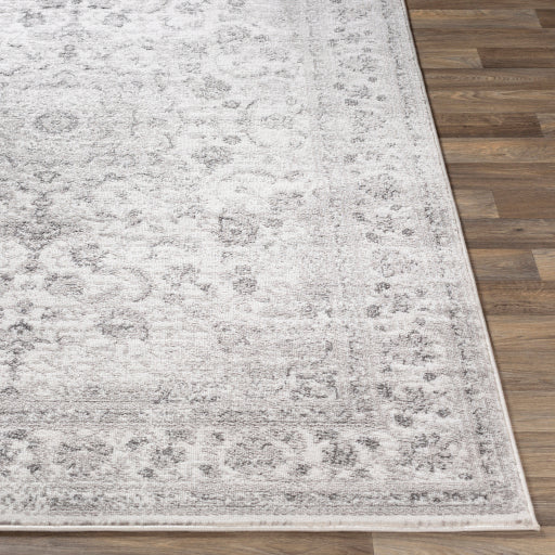 Surya Monte Carlo MNC-2319 Light Gray Traditional  Rug