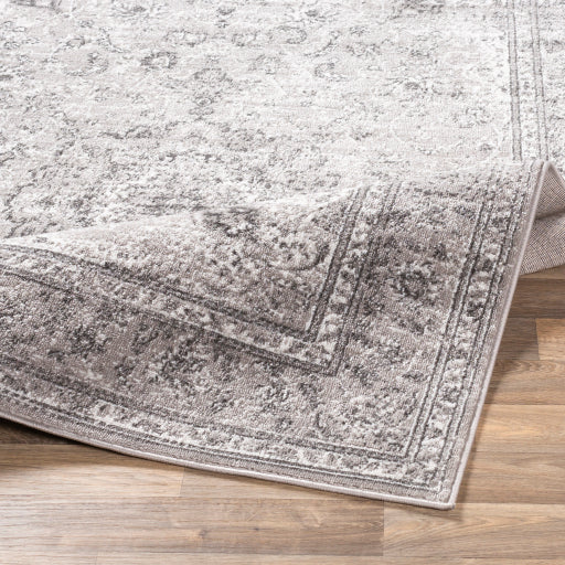 Surya Monte Carlo MNC-2321 Light Gray Traditional  Rug