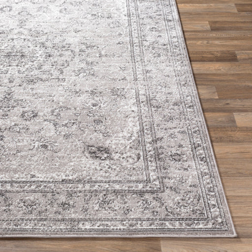 Surya Monte Carlo MNC-2321 Light Gray Traditional  Rug