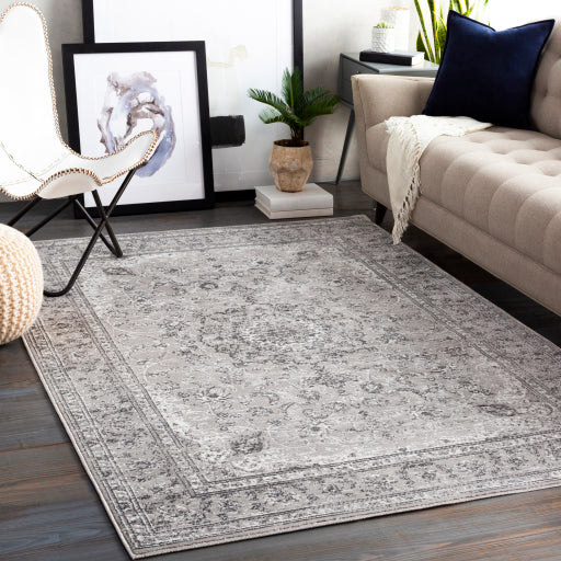 Surya Monte Carlo MNC-2321 Light Gray Traditional  Rug