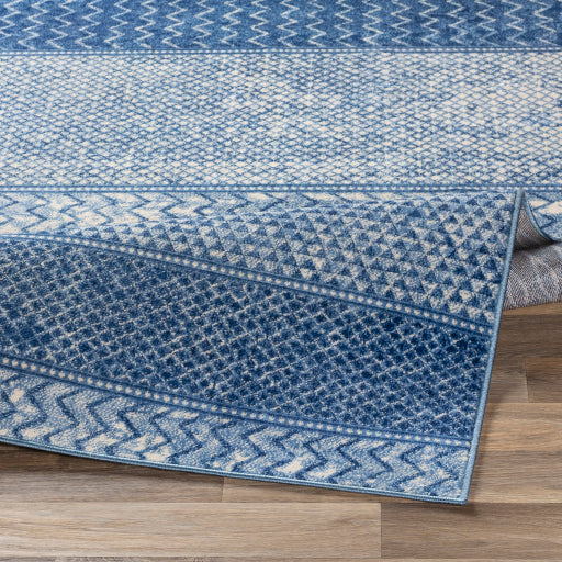 Surya Monaco MOC-2305 Denim Global  Rug