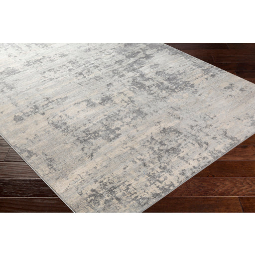 Surya Monaco MOC-2311 Silver Gray Modern  Rug