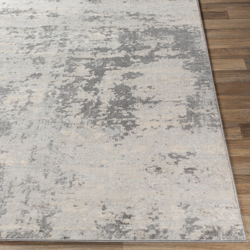 Surya Monaco MOC-2311 Silver Gray Modern  Rug