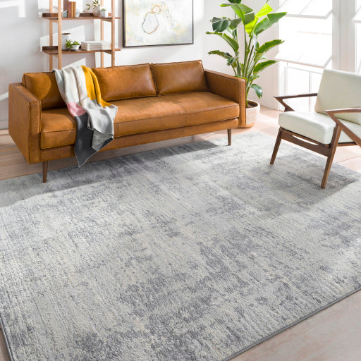 Surya Monaco MOC-2311 Silver Gray Modern  Rug