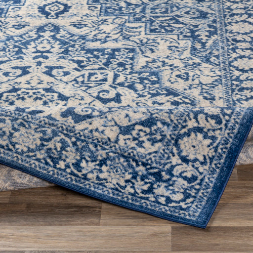 Surya Monaco MOC-2316 Denim Traditional  Rug