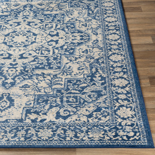 Surya Monaco MOC-2316 Denim Traditional  Rug