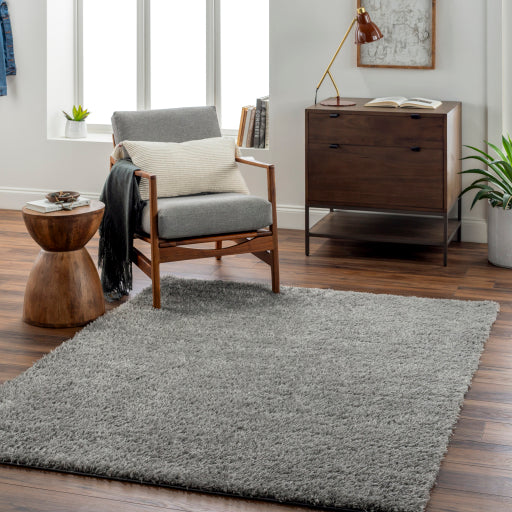 Surya Moda Shag MOG-2304 Gray Modern  Rug