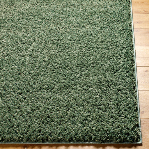 Surya Moda Shag MOG-2306 Medium Green Modern  Rug