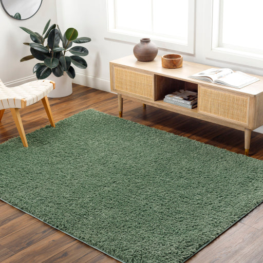 Surya Moda Shag MOG-2306 Medium Green Modern  Rug